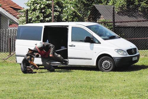 Psovodi – obranári KR PZ v Bratislave predviedli zadržanie nebezpečného páchateľa strieľajúceho z automatickej vojenskej pušky vzor 58 z dodávkového automobilu, ktorého spacifikoval služobný pes plemena nemecký ovčiak