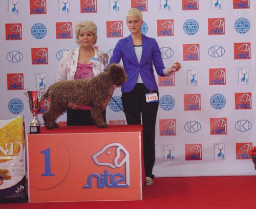 Derby Winner Show (nedeľa), Derby Best Of Group FCI 8 (rozhodca: Gabriela Ridarčíková, SK)1. Lagotto Romagnolo – Coco, ch: Gallerini Fabio, maj: Kadnárová Jana