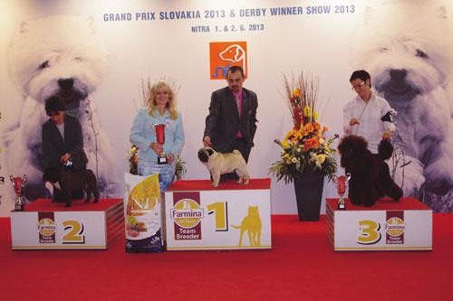 Derby Winner Show (nedeľa), Best Of Group FCI 9 (rozhodca: Tiina Taulos, FI): 1. Mops (Pug) - Gregory Pibaro, ch + maj: Panýrek Patrik * 2. Francúzsky Buldoček - Xanti Von New Glandorf, ch + maj: Pongrácz Eleonóra * 3. Pudel stredný hnedý - Velvet Artemon Follie Folletto, ch: Sládeková Lucia, maj: Okálová Zuzana