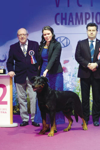 1. FCI - 2. miesto: beauceron - AME MAGNANIME CYRANO PUISSANT, maj: Novák Tomáš